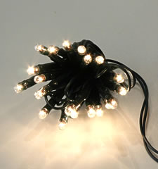 20 Clear Floral Mini Rice Lights - 6 Foot Green Wire