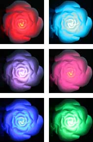 Color Changing Floating Rose Lights Up In Water