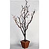 3 Foot Artificial Manzanita CenterpieceTree in Decor Pot