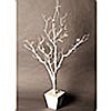 3 Foot White Centerpiece Tree in Decorative Pot