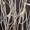 Silver Glitter Twig Branch - 50 Warm White LED Battery Operated