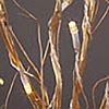 Gold Twig Branch - 50 Warm White LED Battery Operated