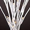 Battery Operated 20 Inch White Willow Branch - 60 Warm White LED's