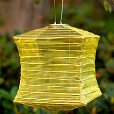 Outdoor Solar Lantern - Bronze Colored Square