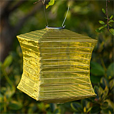 Outdoor Solar Lantern - Moss Colored  Square