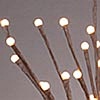 Battery Operated Brown Willow 20 Inch 60 LED with Timer
