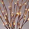 Battery Operated Brown Willow Branch 20 Inch 60 LED with Timer