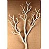 White Manzanita Tree Branch - 31 Inch Bendable