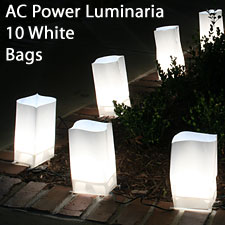 Electric Luminaries Set of 10 with White Bags