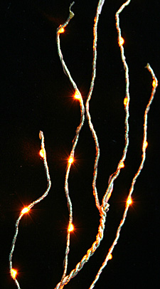 Angel Tear Amber 25 LED Fairy Lights