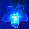 Blue LED Cherry Blossom Tree 90 Flowers with Foliage