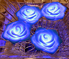 Battery Operated Water Activated LED Rose - Blue - additional view