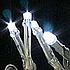 Battery LED Rice Lights 20 Bright White - Clear  Wire
