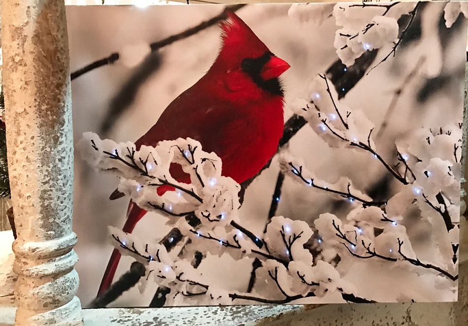 TOP SELLER 16 Inch Lighted Print On Canvas Cardinal Wall Hanging