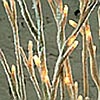 Lighted Frosted White Glitter Branch - 96 Bulbs 39 Inch