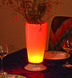 Lighted Rechargeable Vase - additional view