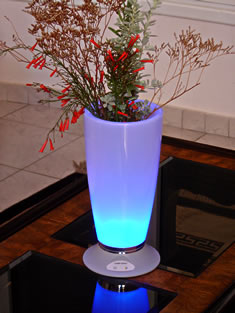Lighted Rechargeable Vase