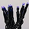 Battery LED Rice Lights 20 Purple Bulbs - Black Wire
