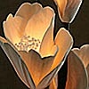 Natural Elements Large Magnolia Lighted Arrangement