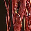 Battery Operated  Natural  Willow  Brown - 20 LED's on Thin Wire