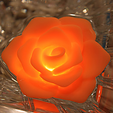 Battery Operated Water Activated LED Rose - Orange