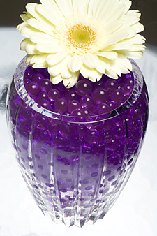 250 GRAM BULK PACK -  Purple  Water To Beads