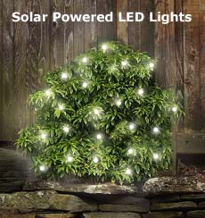 Solar Power LED Lights - 100 Bulb Strand