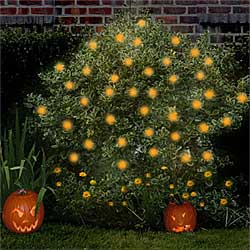 Solar Power LED Halloween Lights - 50 Bulb Strand
