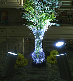 Floral Spotlight - Set Of 3 - Battery Operated - additional view