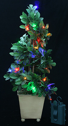 20 Multi Color Battery LED Rice Lites - 6 Hour Timer - additional view