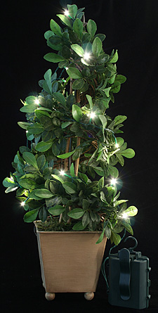 20 Warm White Battery LED Rice Lites - 6 Hour Timer - additional view