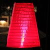 11 Inch Party Lantern Battery Operated 2 Super Bright Pink LED'S
