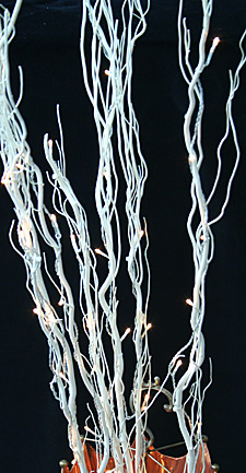 Lighted Twig Branch With 50 Tiny Rice Lights