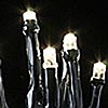 Battery LED Rice Lights 20 Warm White - Black Wire
