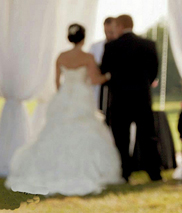 Start Shopping our Weddings and Special Events - Battery Operated Candles & Decor Selection