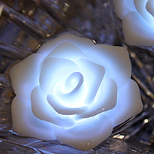 Battery Operated Water Activated Rose - White
