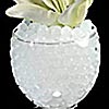 250 GRAM BULK PACK - White Water To Beads