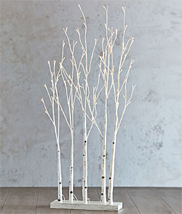 RAZ Lighted Birch Tree Forest 48 Inch - 104 Warm White LED'S