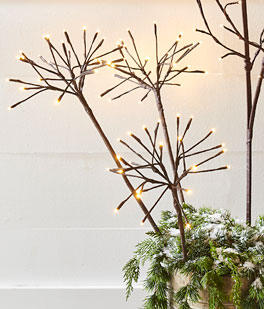Indoors - Outdoor 30 Inch Brown Starburst Spray With 72 Warm White Lights