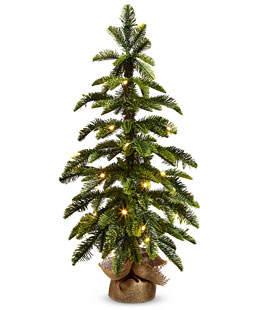 Lighted Pine Tree In Bag 28" - NEW 2025