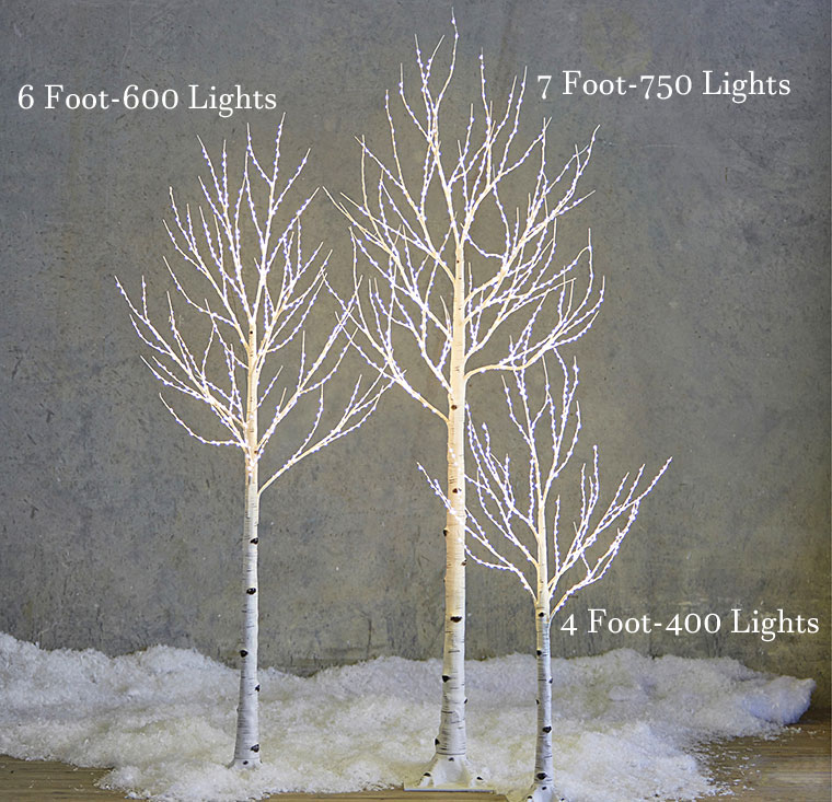 6 Foot Lighted Birch Tree - 600 Warm White Fairy Lights - From RAZ