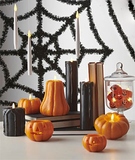 Halloween & Fall Decor