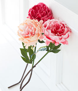 Real Touch Peony Stem - 25 Inch Set of 3 Assorted Colors