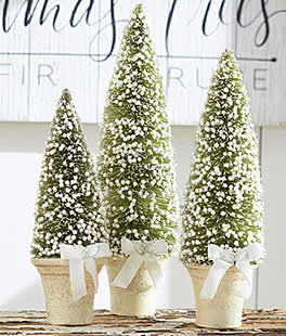 Set of 3 Potted Bottle Brush Trees With White Berries