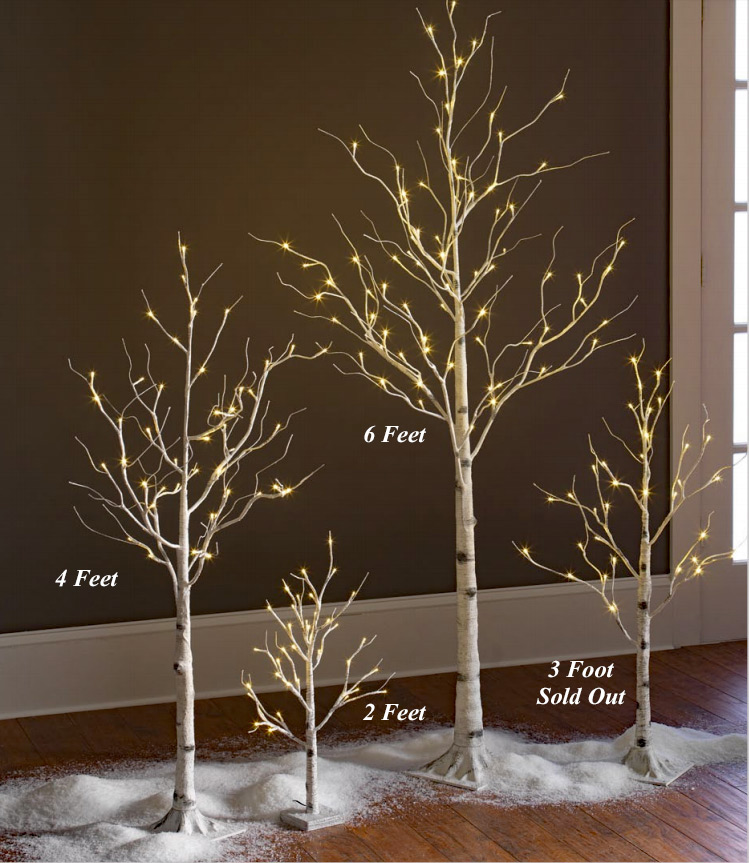 Lighted White Birch Tree 4 Foot 48 Warm White LED'S Indoor Outdoor