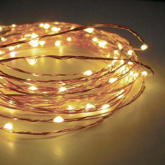 60 Warm White Led String Lights Battery, Outdoor Led Lights With Timer