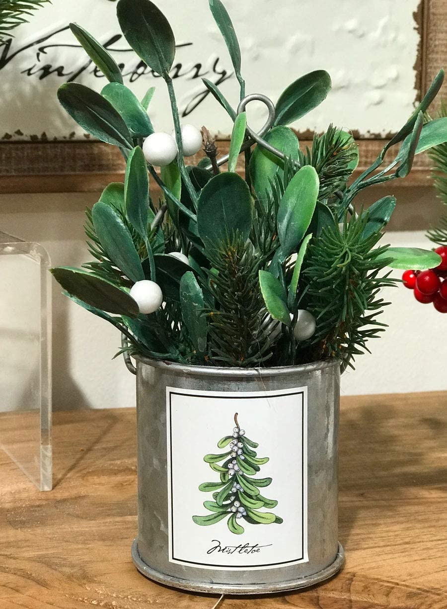 Winterberry, Pine, Holly and Mistletoe Assorted 4 In Galvanized