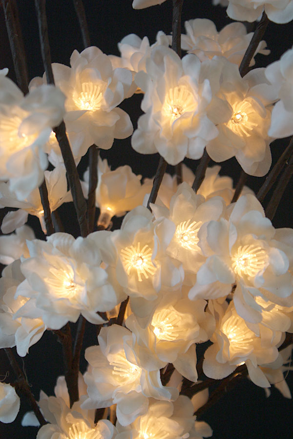 Pre Lit White Plum Nouveau Branch Single Stem 60 LED's -  20 Inch Electric