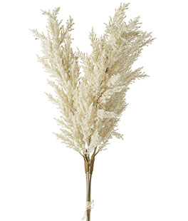 34 Inch Pampas Grass Bundle of 3 - From RAZ - New 2022