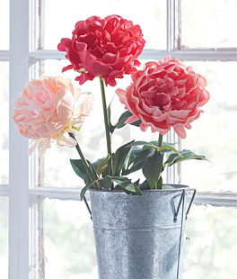 Real Touch Peony Stem - 25 Inch Set of 3 Assorted Colors